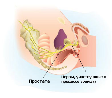 Лечение рака «народными средствами»